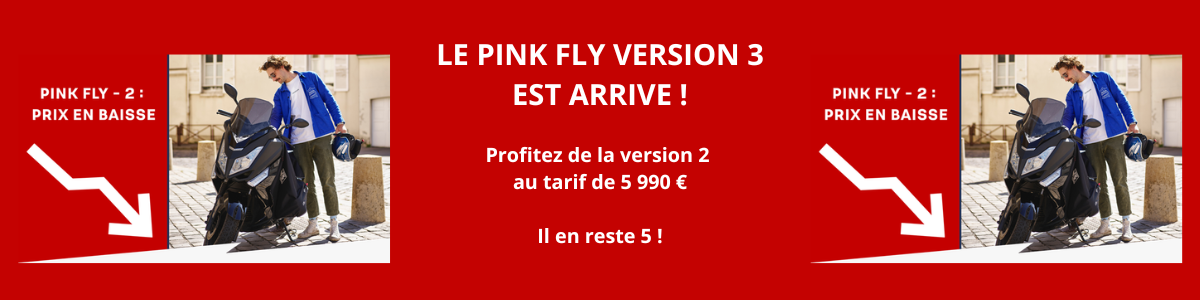PINK FLY VERSION 2 PINK FLY LYON
